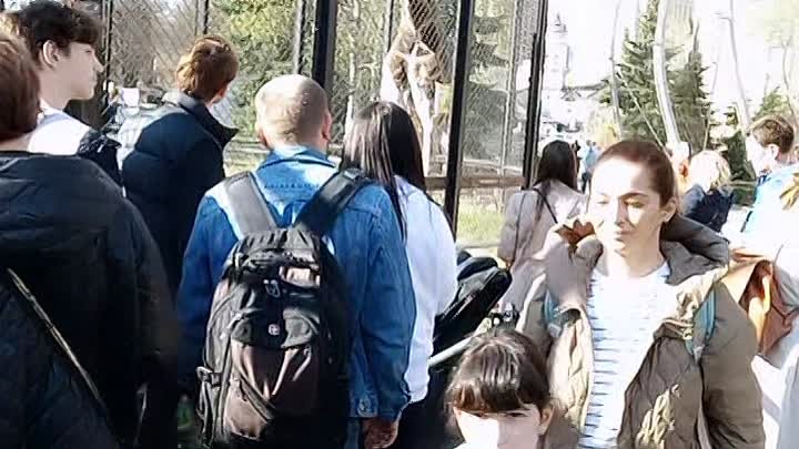 Жираф в Московском Зоопарке 
Милый?
#дети #зоопарк #жираф #кудапойти ...