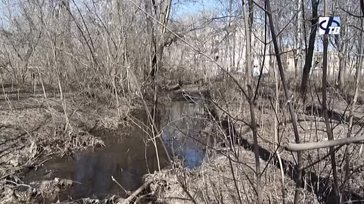 Продолжается благоустройство города и голосование за общественные те ...