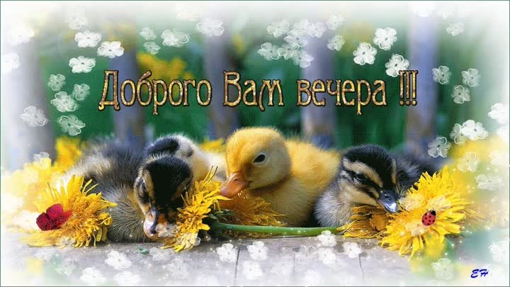 Доброго вам вечера