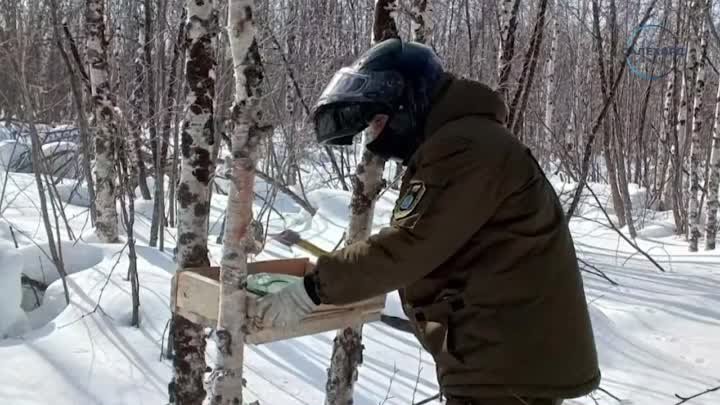 Галечники, порхалища, гоголятники и искусственные сол?