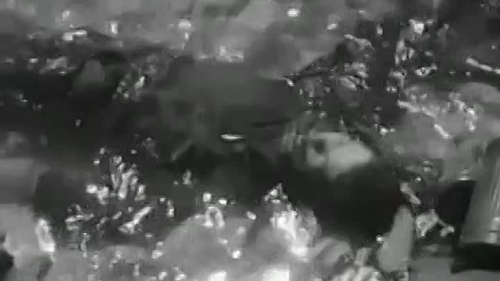 отрывок из фильма Битва за Севастополь (1944)