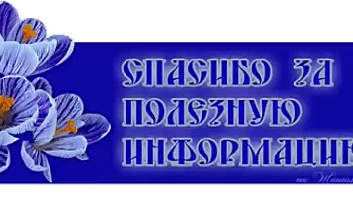 Спасибо за информацию буду. Спасибо за информацию. Благодарю за информацию. Открытки спасибо за интересную информацию. Спасибо за совет.