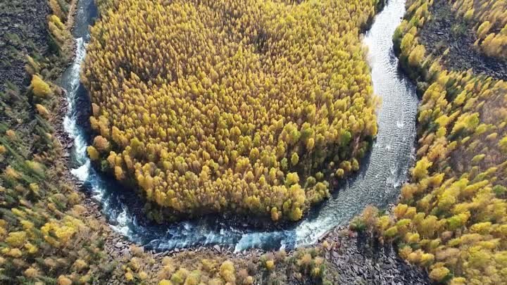 Алтай Большой Манский порог. Кутурчинское белогорье. Осень