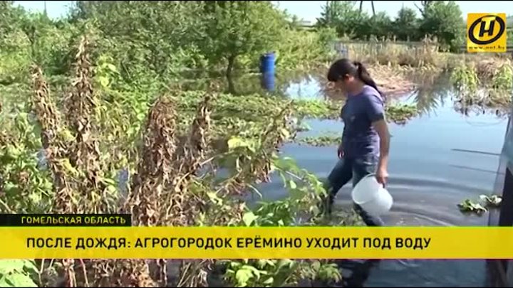 Ливень затопил деревню Ерёмино Гомельской области.mp4
