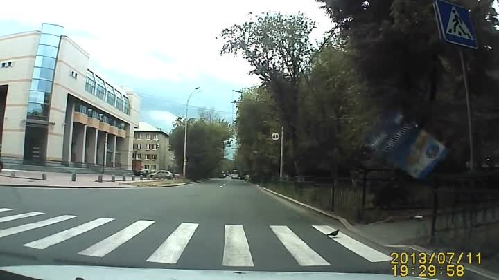 Голубь переходит дорогу Екатеринбург