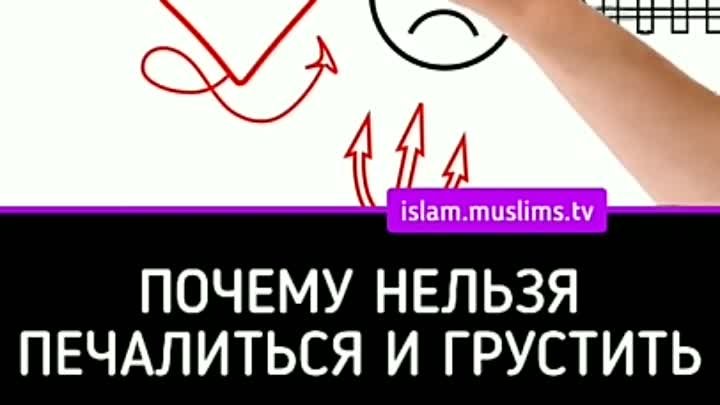 islam.muslims.tv_20191215_6.mp4