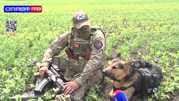 🐶_🪖_Собаки_на_фронте_и_на_гражданке_Как_помогают_животные_в_бою