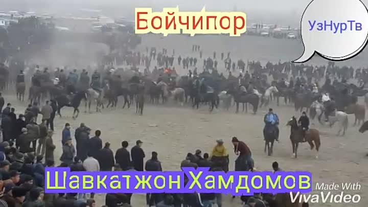 Бойчипор