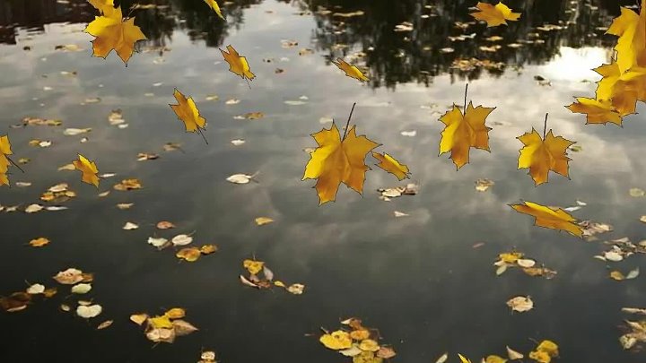 Листья желтые в пруду. Дождливая осень. Осень дождь. Дождливая осень картинки. Осенний ливень.