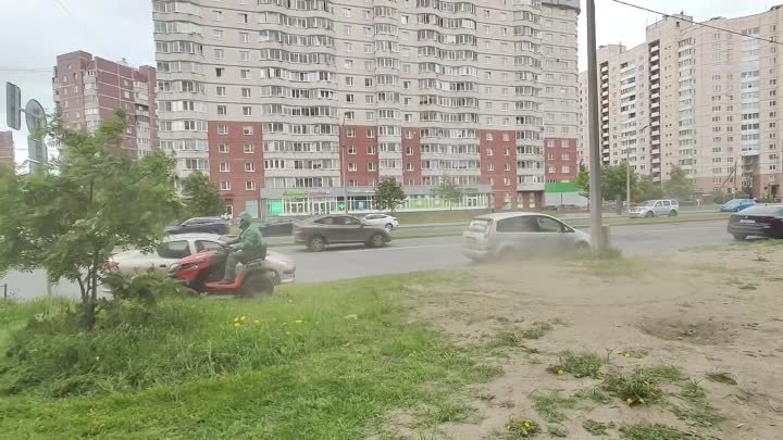 На Новоколомяжском проспекте решили покосить пыль