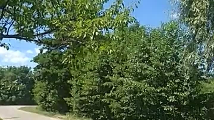 VID_20180609_135958.mp4