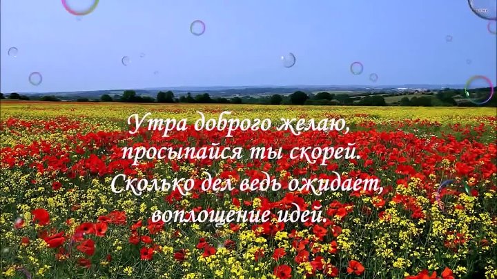 Доброе утро песня веры. Доброе утро песенка. Песня с добрым утром. Бегут деньки. Доброе-доброе утро пес.