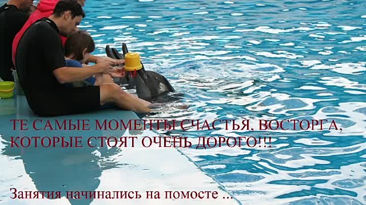 Дельфинотерапия  Настюша Либухова