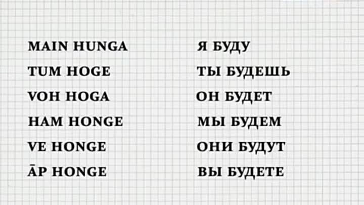 Полиглот китайский 16 часов урок 16. Хинди за 16 часов. Полиглот китайский. Хинди за 16 часов с Петровым. Полиглот хинди.