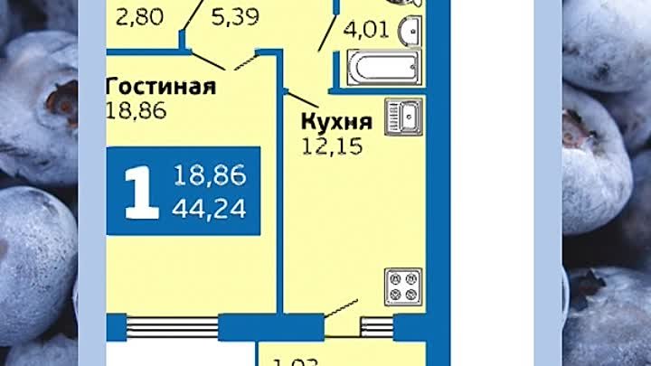 Голубика-1кв