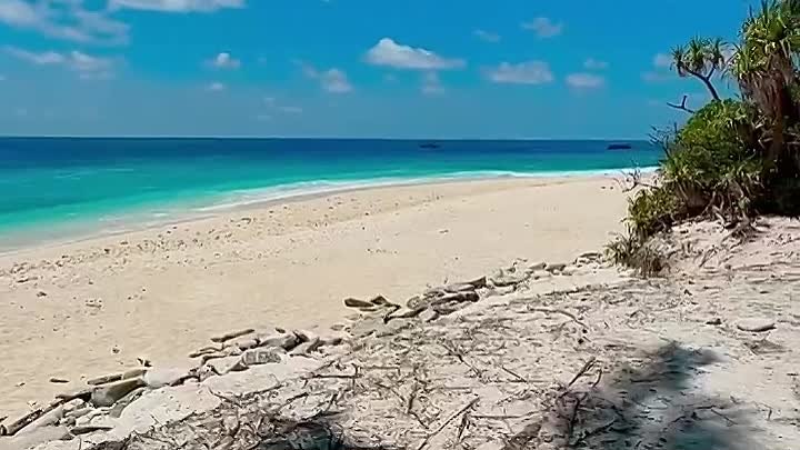 Мальдивки