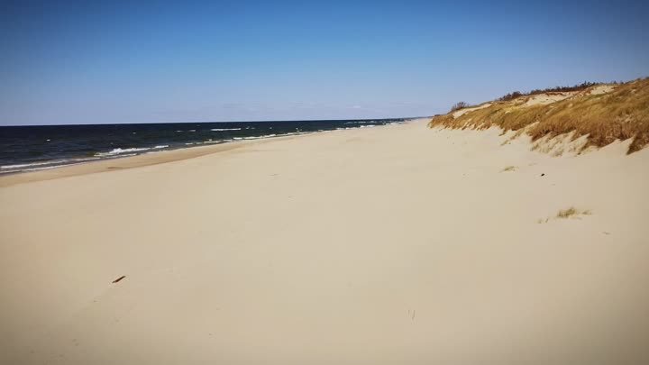 Пляж Куршской косы,автор : Alterclip