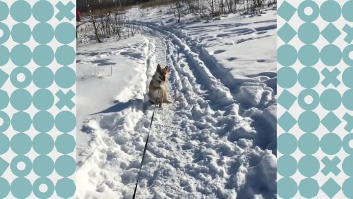 🙈 Вот так вот делает Даша, когда не хочет домой