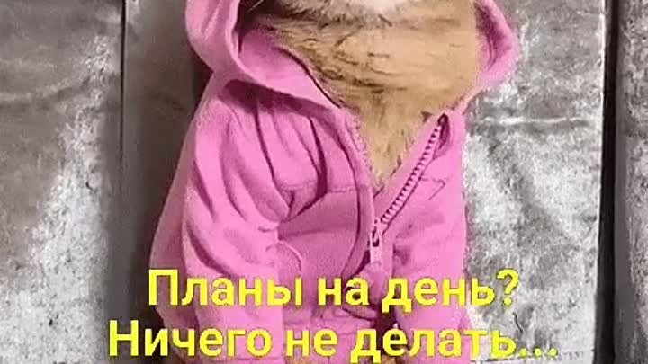 - Планы на день? 😎