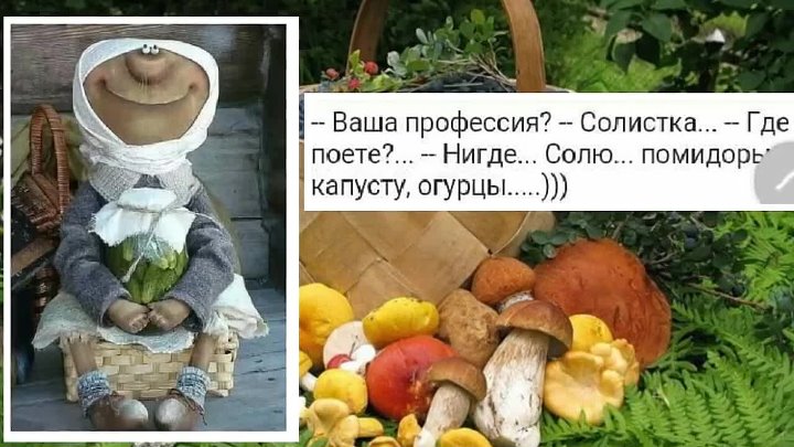 Я солистка солю огурцы помидоры. Народ лето заканчивается предлагаю всем скинуться. Я солистка солю огурцы. Профессия солистка солю капусту. Просто уходило лето кто пел