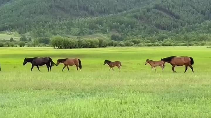 Курумканский район. Село Аргада