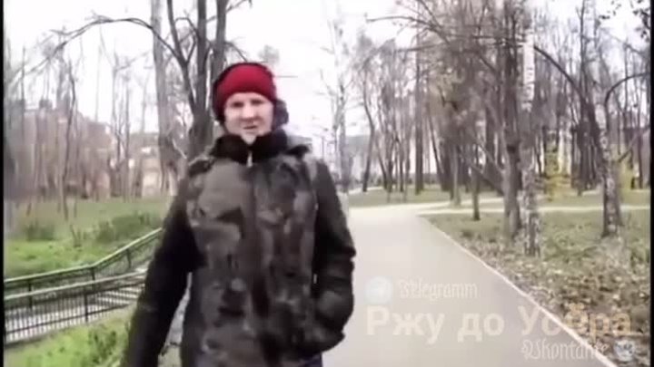 А я думала сова. 