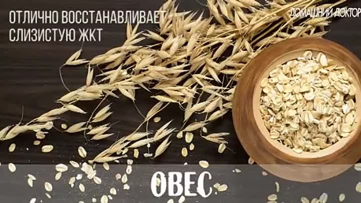 ТОП-15 самых полезных продуктов для организма