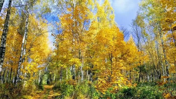 Разбежались.... слова В.Козлова муз.Н.Жукова исп.Г.Погорельская 