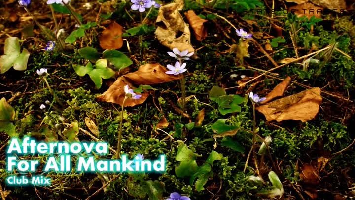 Afternova - For All Mankind (Club Mix)-Обрезка 01