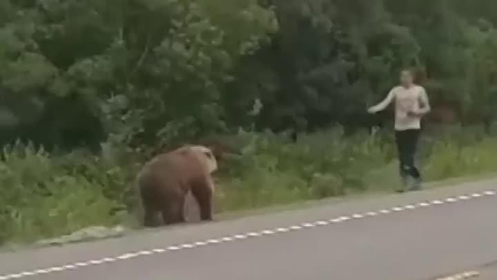 Решил медведя покормить 🤦‍♂