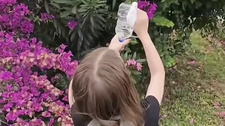 Для полива растений водяной пистолет