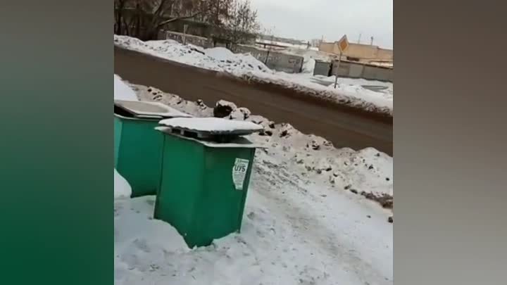 видео