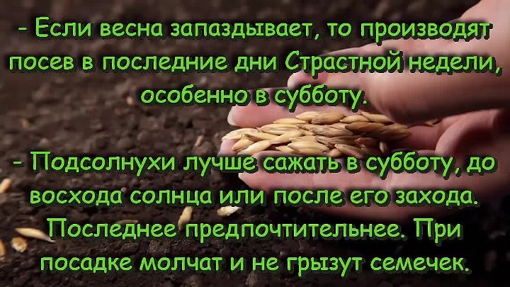 Огород приметы. Народные приметы для огородников. Приметы садовода и огородника народные. Народные приметы сажать. Приметы огородников.