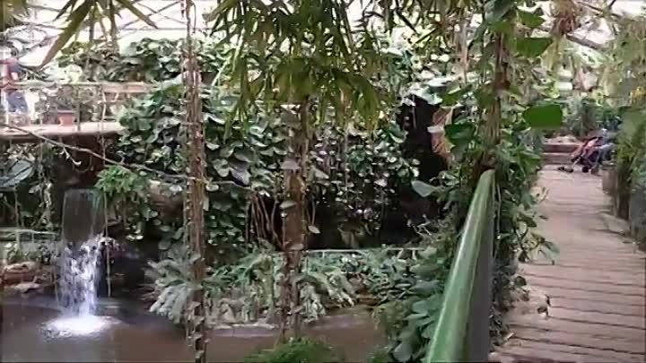 Сад орхидей . Парк Утопия. Израиль