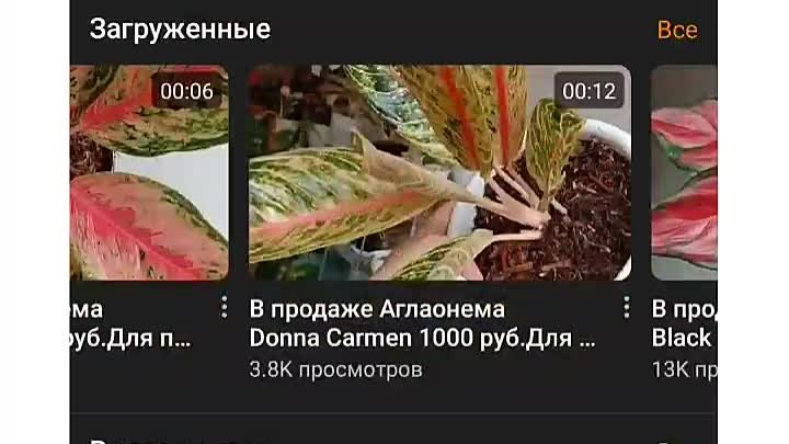 Осторожно, мошенница!.mp4