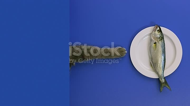 istockphoto-1297400348-640_adpp_is