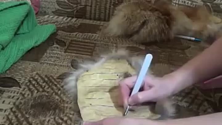 Как сшить меховую жилетку из ненужных кусочков меха