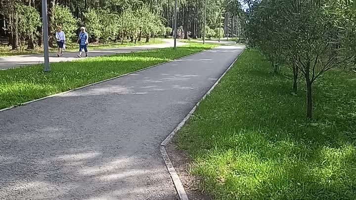 Ежедневная прогулка по парку