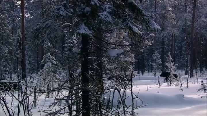 ПАВЕЛ ПАВЛЕЦОВ - А У НАС, НА УРАЛЕ