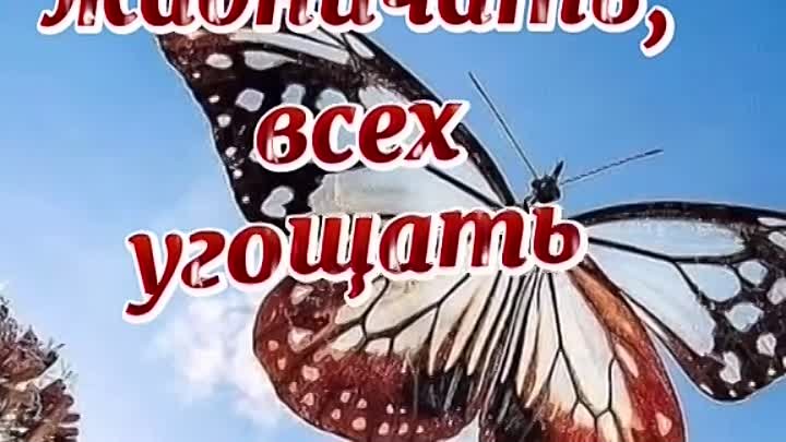 Видео WhatsApp 2023-07-27 в 13.33.19