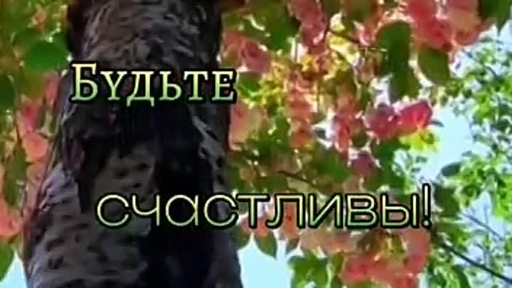 Видео WhatsApp 2023-07-07 в 08.23.20