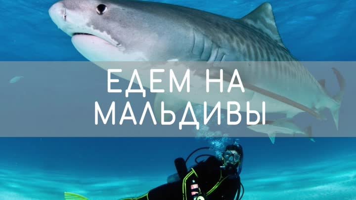 ЕДЕМ НА МАЛЬДИВЫ