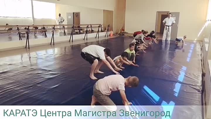 КАРАТЭ Центр Магистра Звенигород 