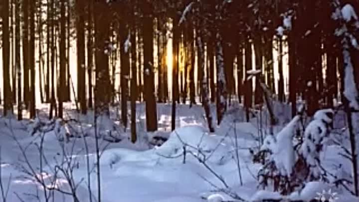 Белоснежный город ( Мирный - Космодром Плесецк)