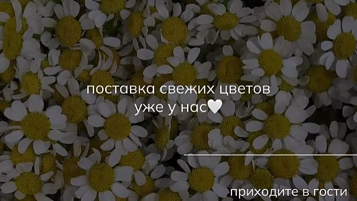 Цветок 37