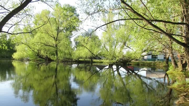 Село Раисовка . Автор стихотворения Владимир Королько, автор ролика  ...