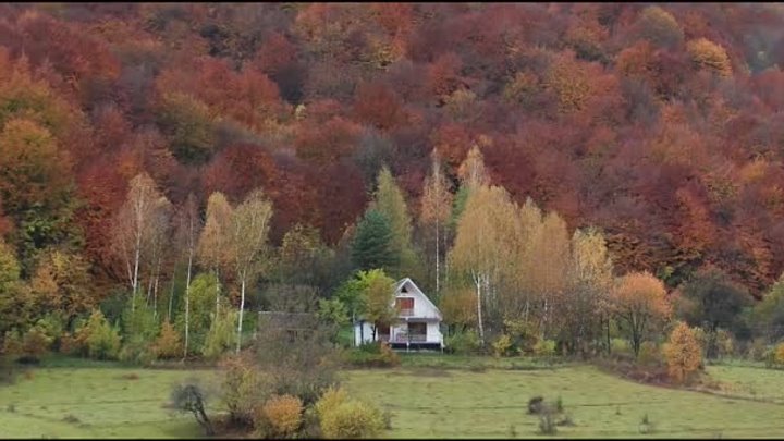 Autumn in Georgia