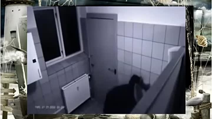 Русские фото скрытой камерой. Камера видеонаблюдения в женском сортире. Скрытые видеокамеры в туалете. Видеокамера в туалете больницы.