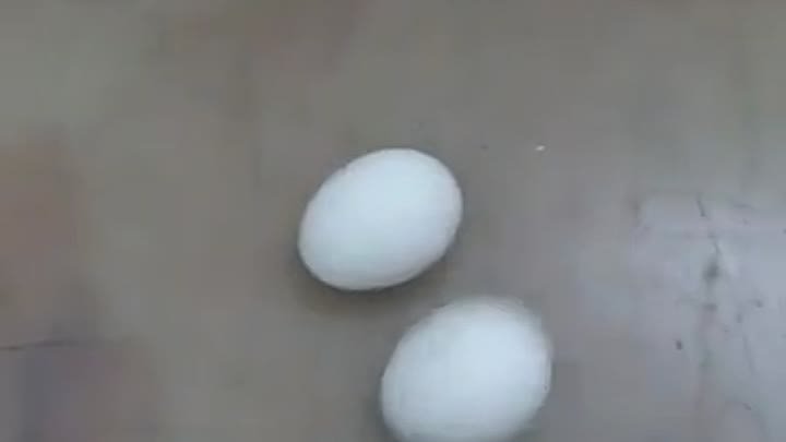 Яйца из китая