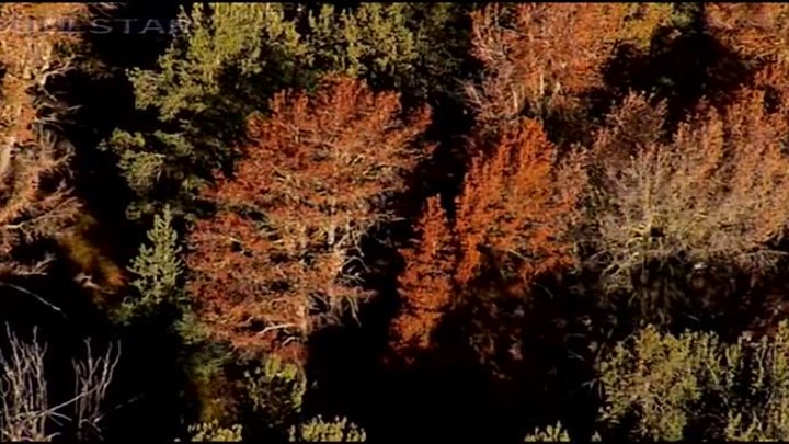 Karunesh- Autumn Leaves-Őszi Levelek [HD-BS]